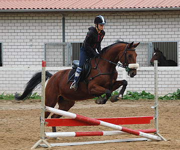 Reitabzeichen-Lehrgang