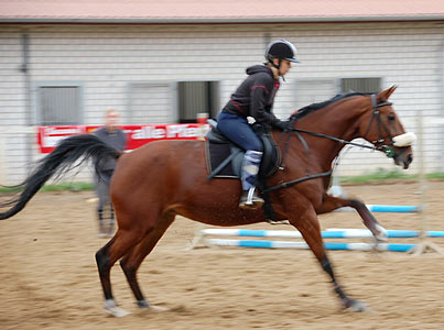 Reitabzeichen-Lehrgang