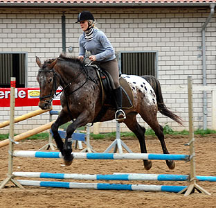 Reitabzeichen-Lehrgang