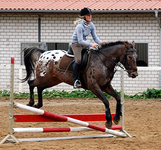 Reitabzeichen-Lehrgang
