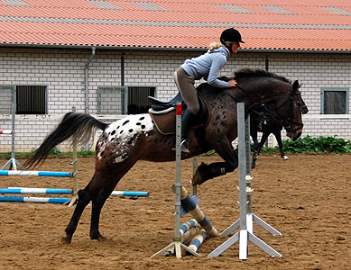 Reitabzeichen-Lehrgang