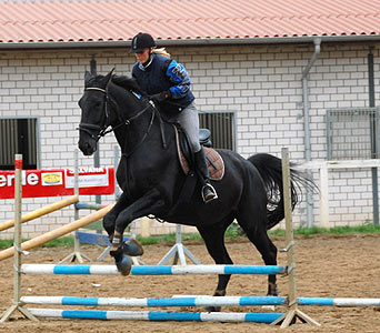 Reitabzeichen-Lehrgang