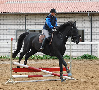 Reitabzeichen-Lehrgang
