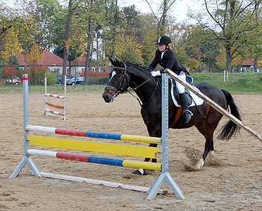 Reitabzeichen-Prüfung