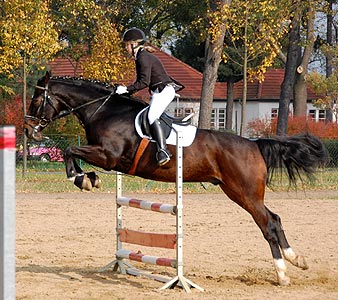Reitabzeichen-Prüfung