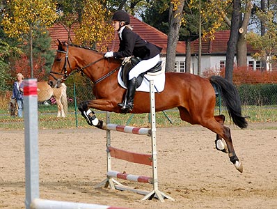 Reitabzeichen-Prüfung