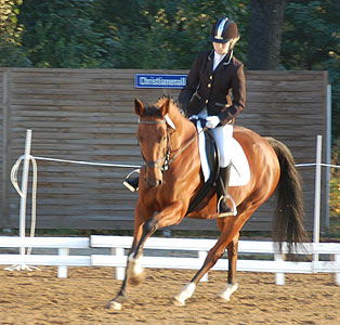 E-Dressur
