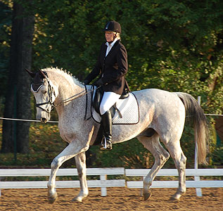 E-Dressur