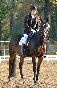 E-Dressur