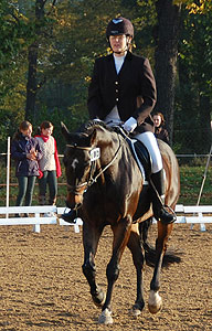E-Dressur