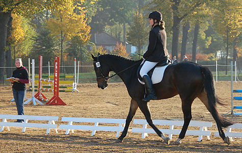 E-Dressur
