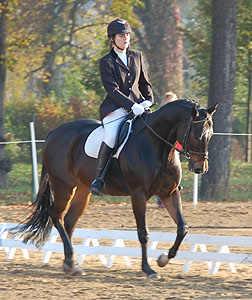 E-Dressur