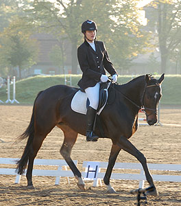 E-Dressur