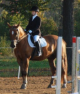 E-Dressur