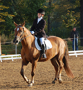 E-Dressur