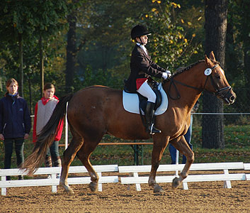 E-Dressur