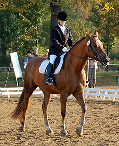 E-Dressur