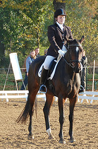 E-Dressur