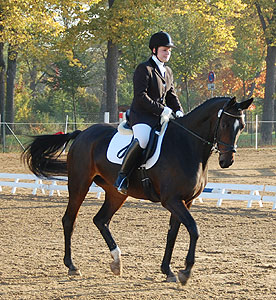 E-Dressur