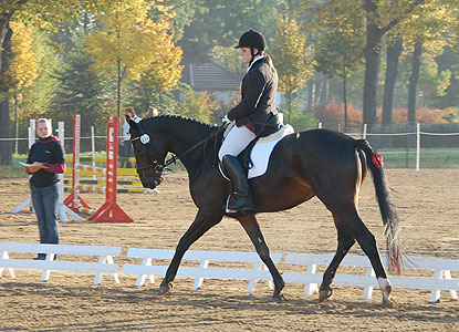 E-Dressur