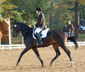 E-Dressur