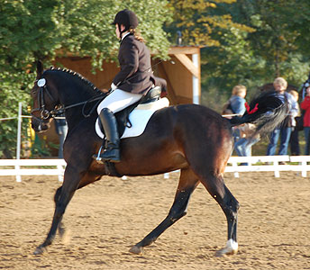 E-Dressur