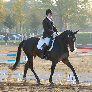 E-Dressur