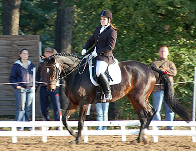 E-Dressur