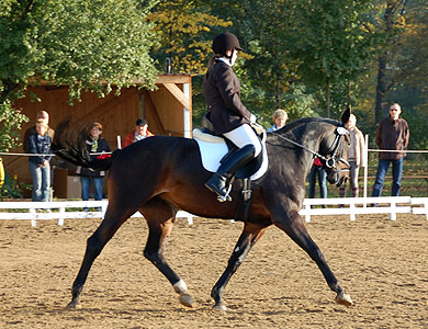 E-Dressur