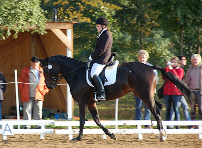 E-Dressur