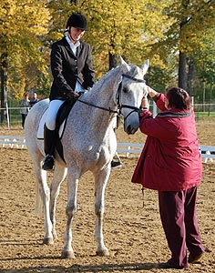 E-Dressur