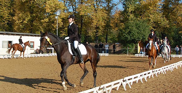 E-Dressur