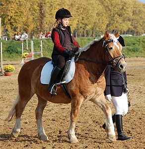 Führzügel