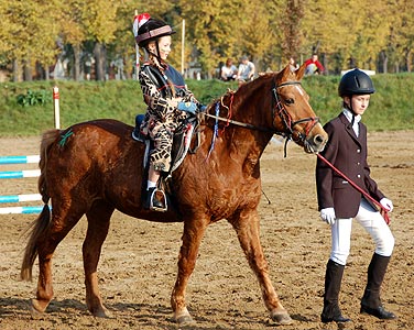 Führzügel