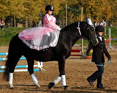 Führzügel