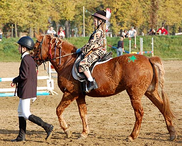 Führzügel