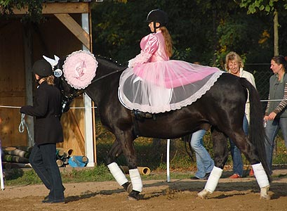 Führzügel