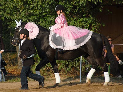 Führzügel