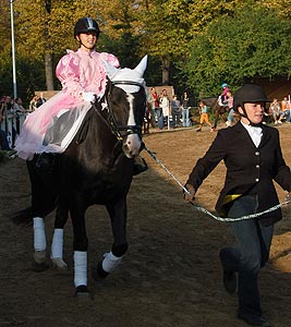 Führzügel