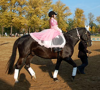 Führzügel