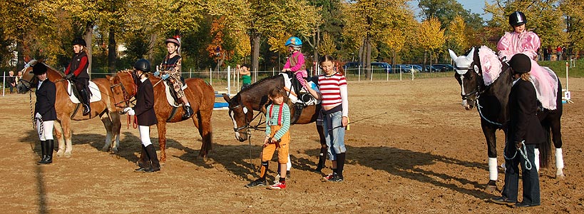 Führzügel