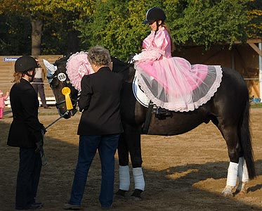 Führzügel