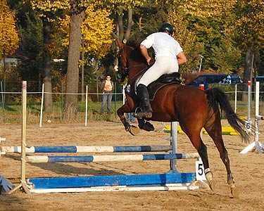 Jump & Drive