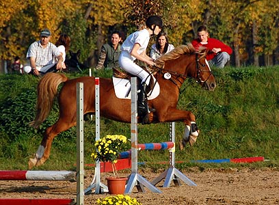 Jump & Drive