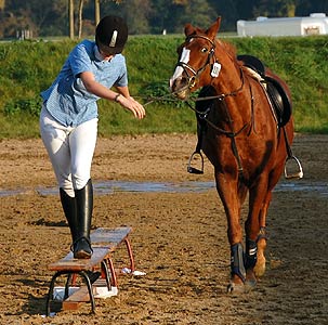 Jump & Drive