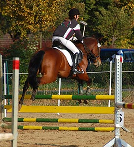 Stafettenspringen