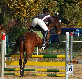 Stafettenspringen