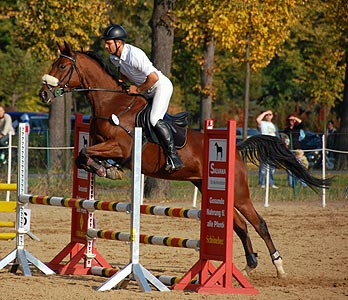 Stafettenspringen