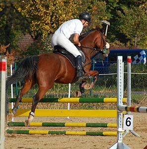 Stafettenspringen