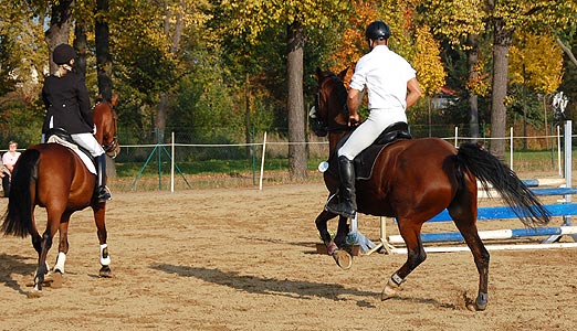Stafettenspringen